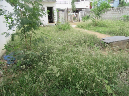 2) Li Id : 152 - Pic 3.JPG